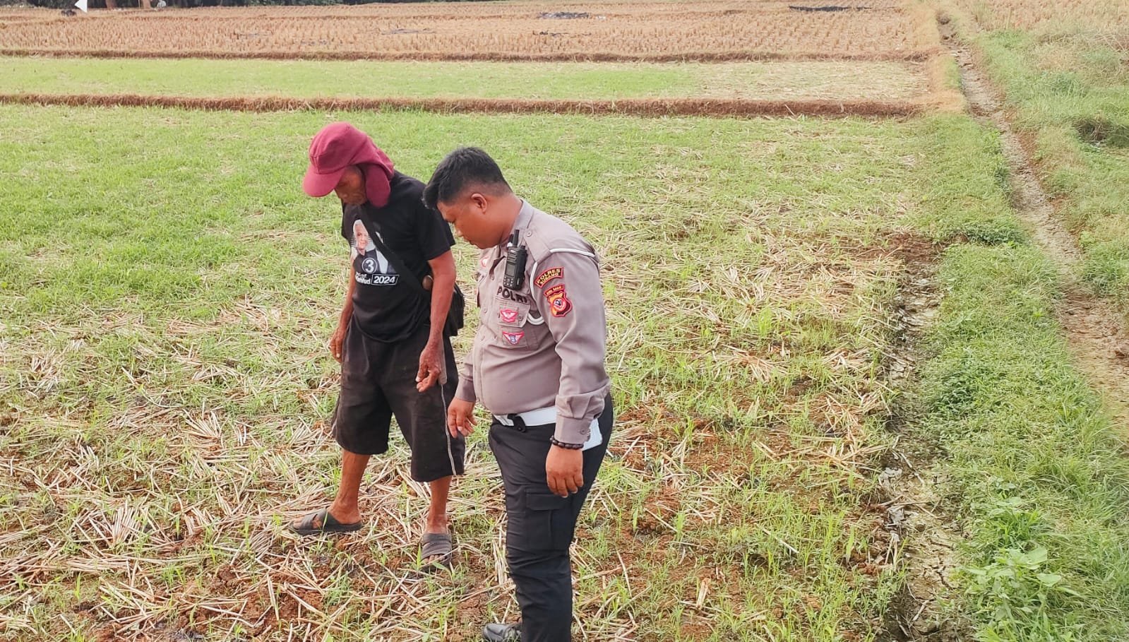 Polsek Kalijati Bersama Warga Desa Binaan Gelar Tebar Benih untuk Dukung Ketahanan Pangan