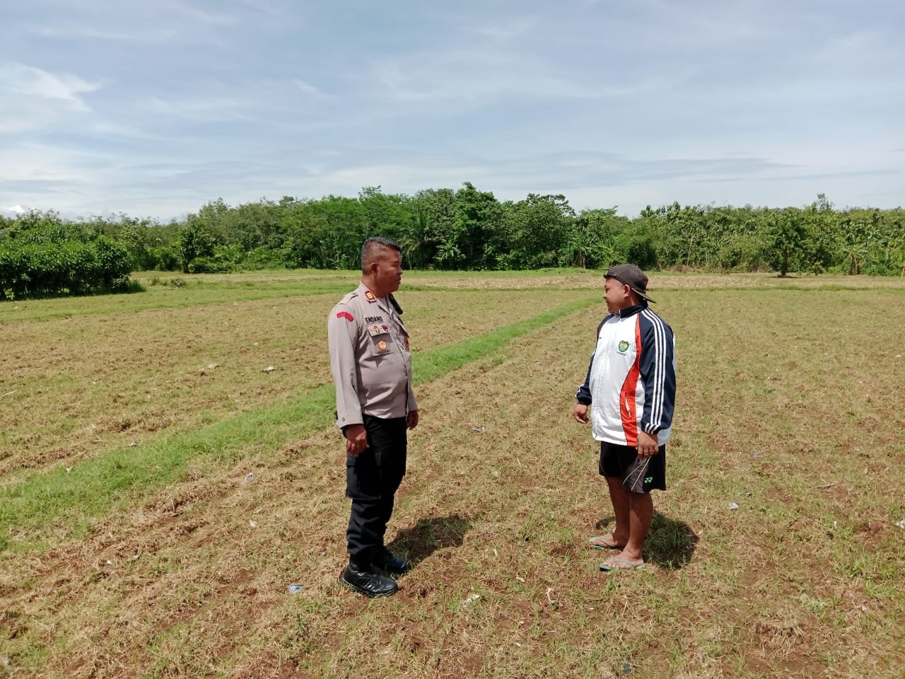 Kapolsek Subang Kota Tinjau Lahan Pertanian Jagung, Dukung Ketahanan Pangan Nasional